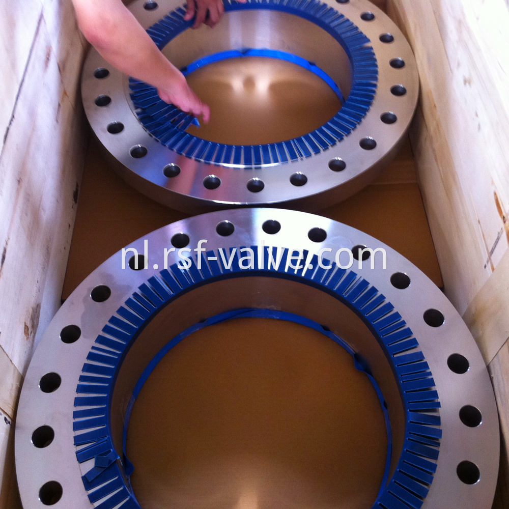 Stainless Steel Flange Wn